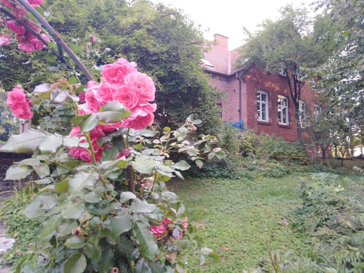 Alte Schule Am See ビスクピエツ エクステリア 写真