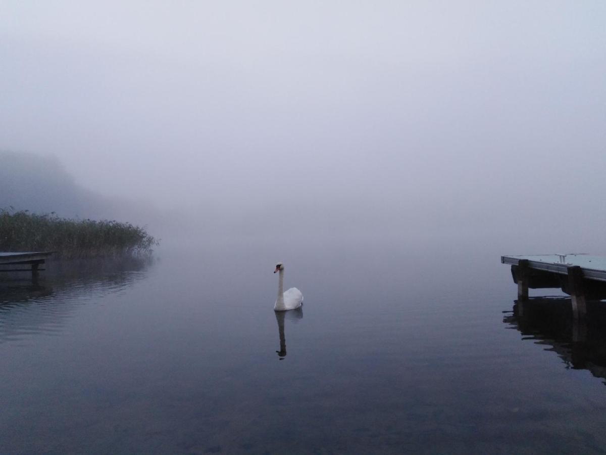Alte Schule Am See ビスクピエツ エクステリア 写真