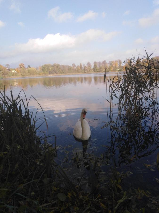 Alte Schule Am See ビスクピエツ エクステリア 写真