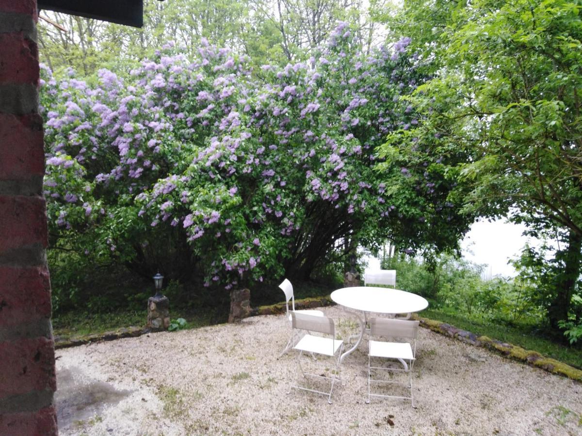 Alte Schule Am See ビスクピエツ エクステリア 写真